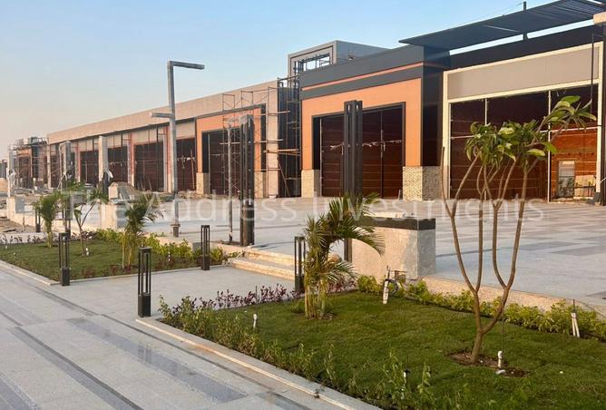 8382664 - Property Image 3