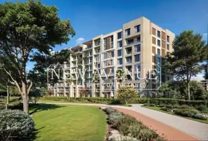 8422646 - Property Image 3