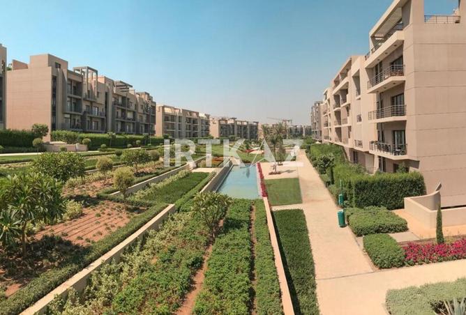 8088652 - Property Image 3