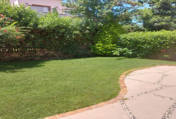 8343588 - صورة العقار 3