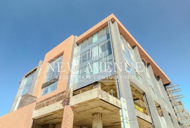 8373842 - Property Image 3