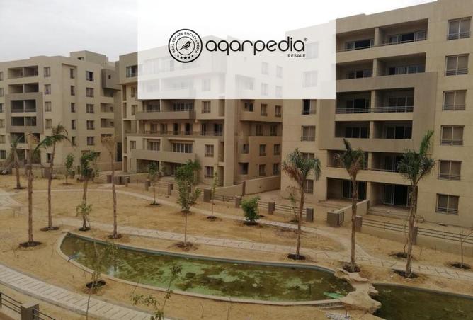 8003693 - صورة العقار 2