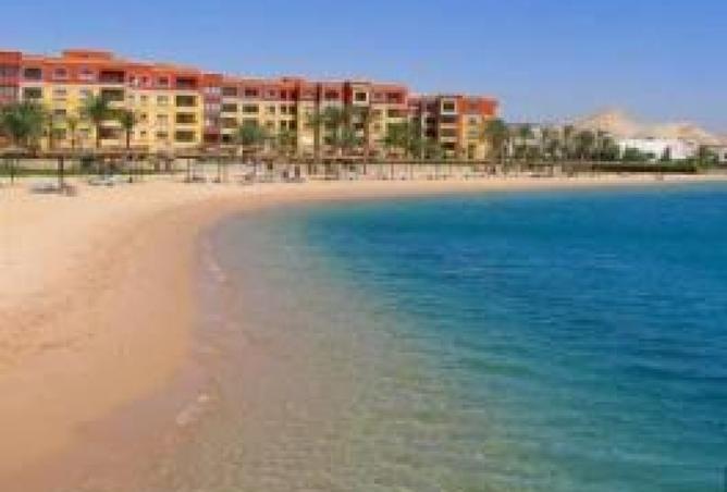 8353146 - Property Image 3