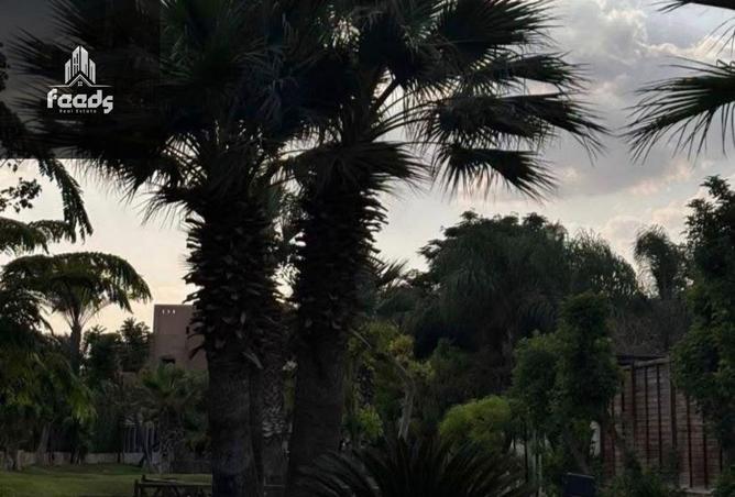 8394436 - Property Image 3