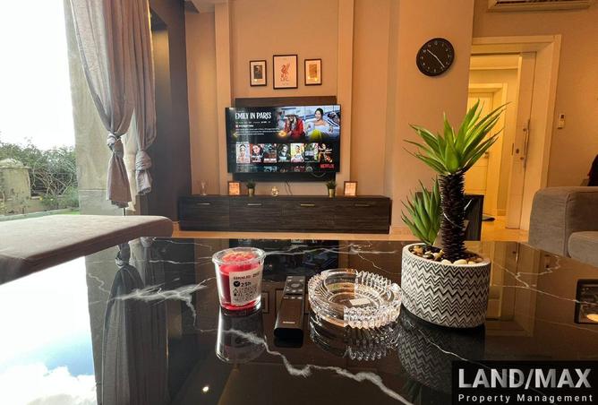 8421362 - Property Image 2