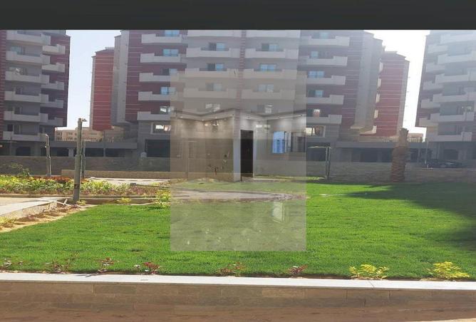 8161393 - Property Image 3