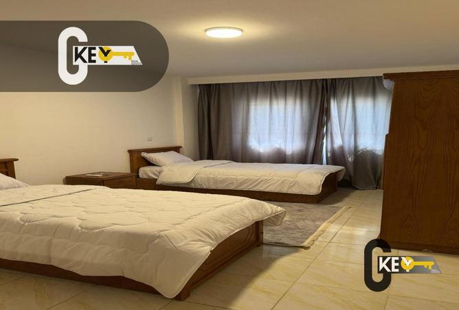 8259570 - Property Image 3