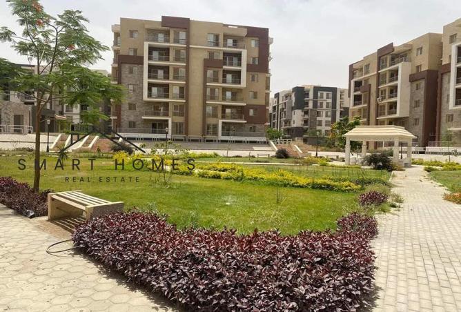 8416789 - Property Image 3