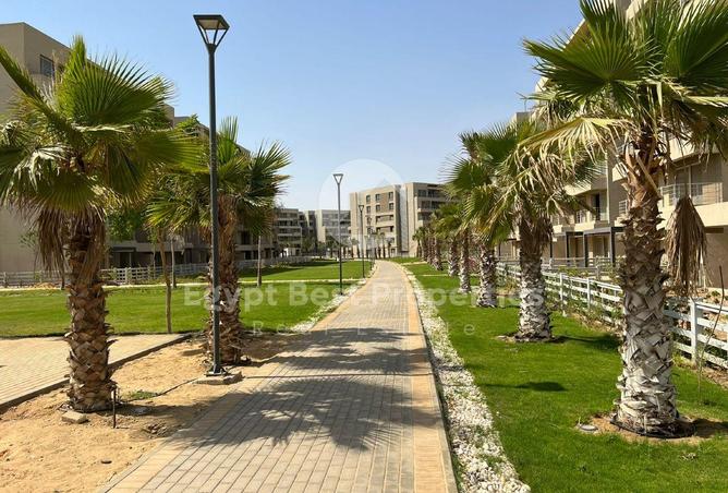 7917087 - صورة العقار 2