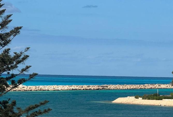 8261108 - صورة العقار 3