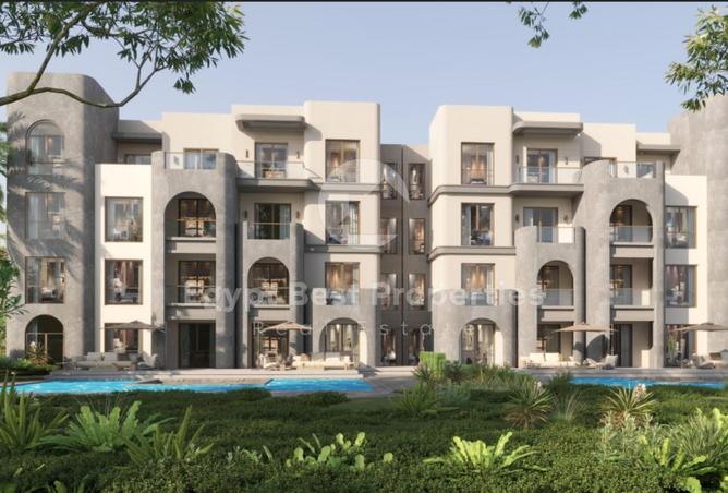 8167095 - Property Image 3