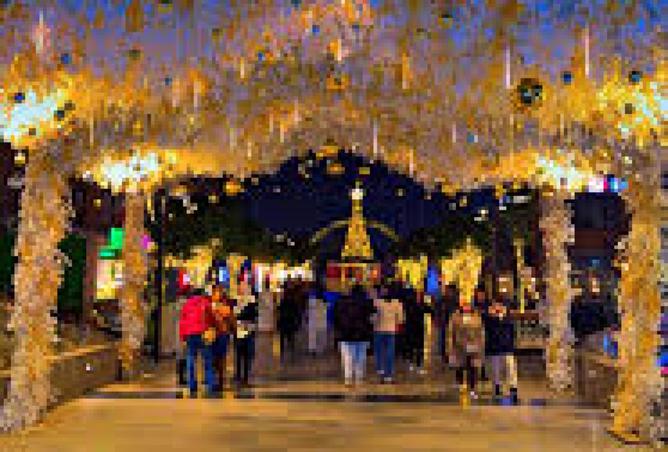 8159726 - صورة العقار 3