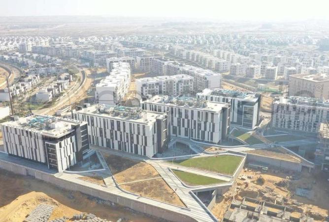 8206060 - Property Image 3