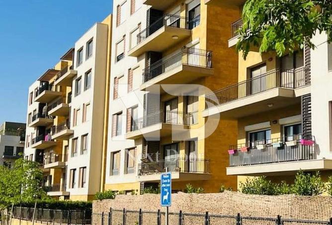 8240219 - Property Image 2