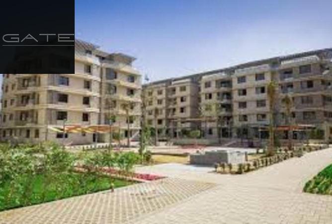 8423006 - صورة العقار 2