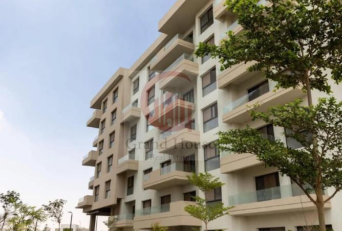 8064118 - Property Image 3