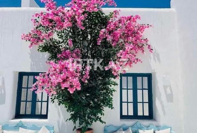 8498478 - صورة العقار 2