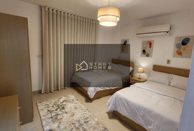 8117629 - Property Image 3