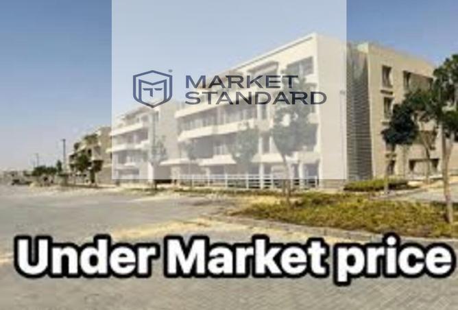 8246538 - Property Image 2