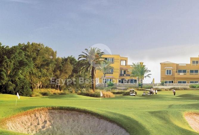 8316904 - الصورة الرئيسية للعقار