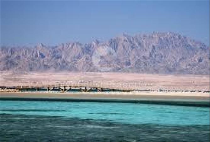 7925454 - الصورة الرئيسية للعقار