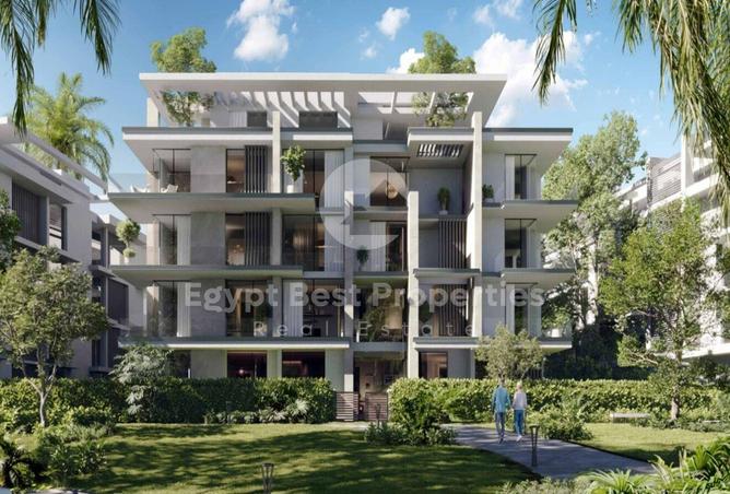8110855 - Property Image 3