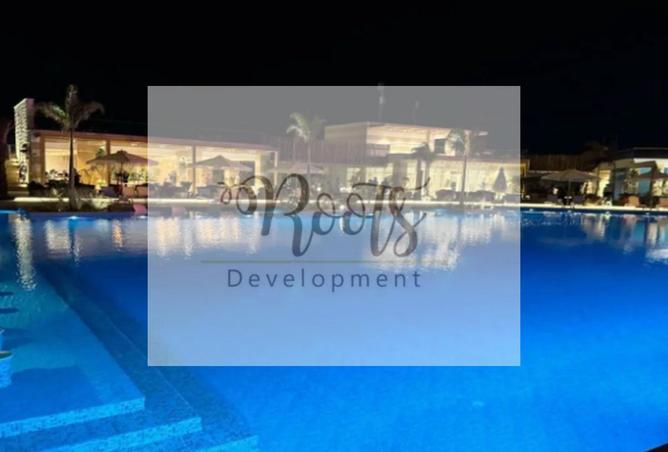 7888222 - Property Image 3