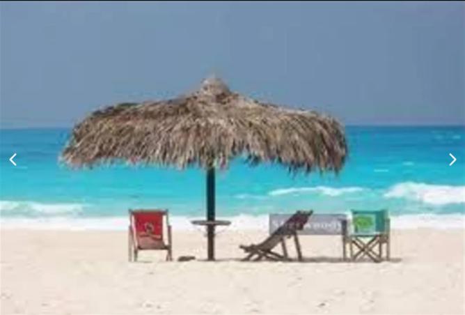 8191652 - صورة العقار 3