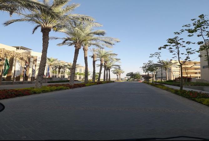 7966224 - الصورة الرئيسية للعقار