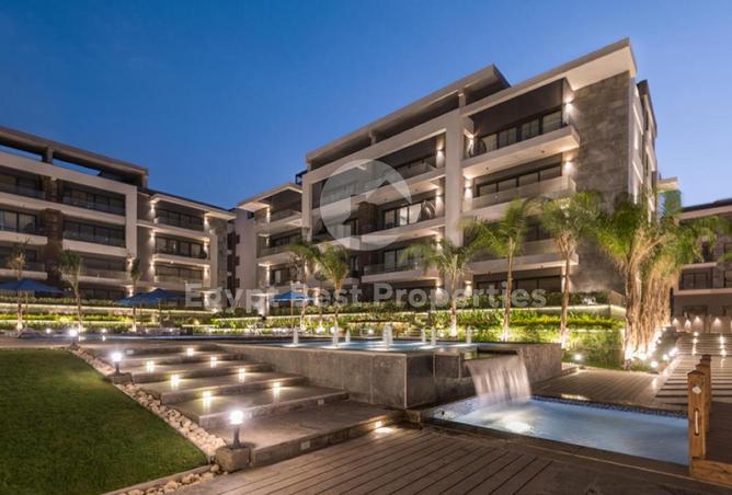 8248580 - Property Image 2