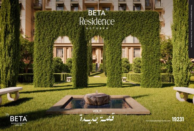 7995870 - صورة العقار 3