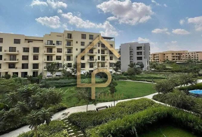8049745 - Property Image 2