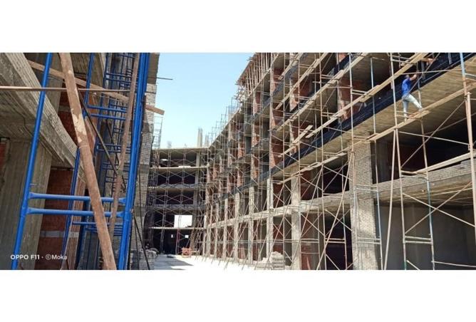 8081234 - Property Image 3