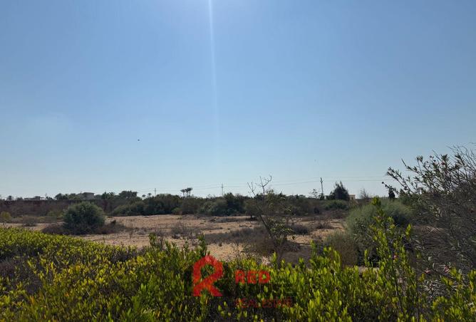 8301982 - Property Image 2