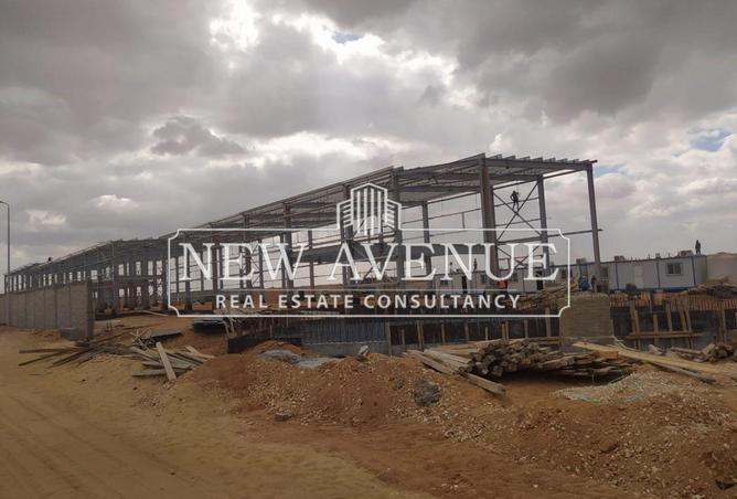 8315405 - صورة العقار 3