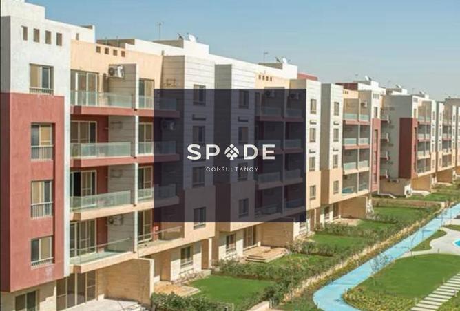 8527191 - Property Image 3