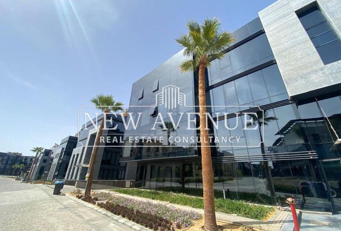 8386994 - Property Image 3