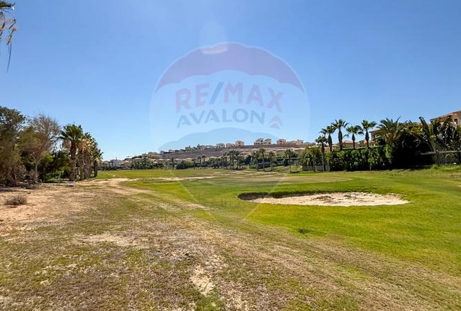 7887952 - Property Image 3