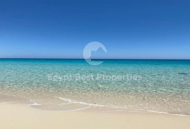 8056011 - صورة العقار 3
