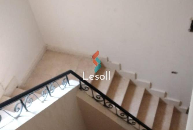 8138262 - Property Image 3