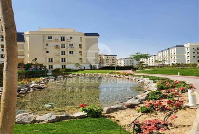 8324322 - Property Image 3