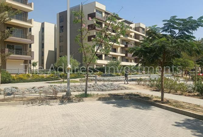 7888186 - Property Image 2