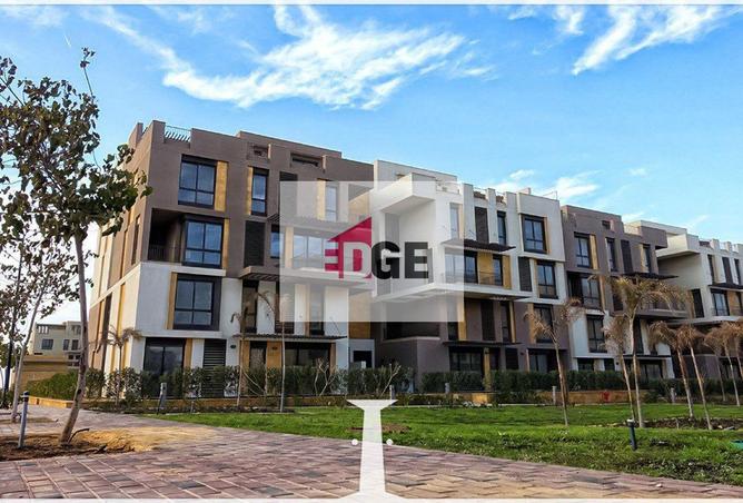 8392216 - Property Image 3