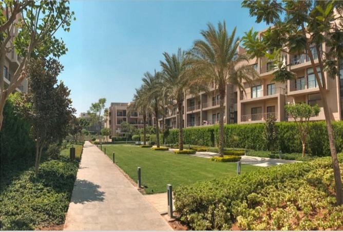 8413808 - Property Image 3