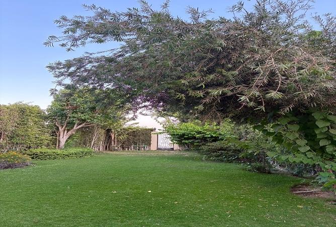 8519480 - صورة العقار 2