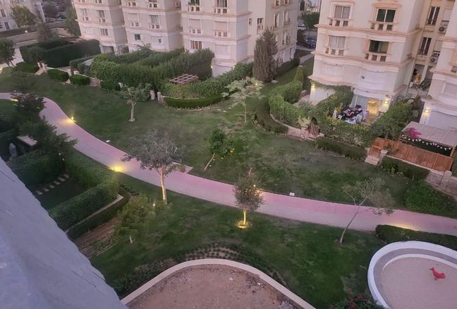 8177742 - Property Image 3