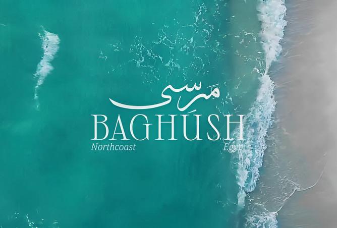 8560812 - Property Image 2