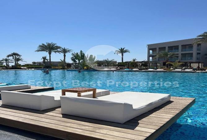 7971479 - Property Image 3