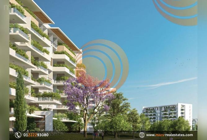 6419097 - صورة العقار 3