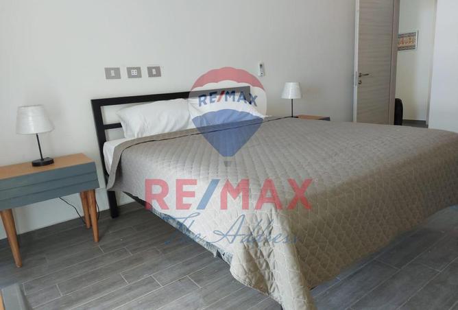 8437989 - Property Image 2